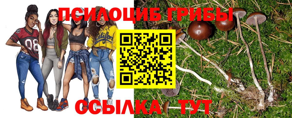 Псилоцибиновые грибы Psilocybine cubensis  продажа наркотиков  Вход с VPN  Фролово  Галлюциногенные грибы мицелий 