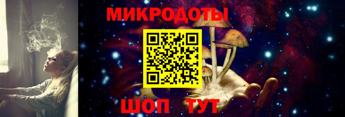 Псилоцибиновые грибы Psilocybe Фролово
